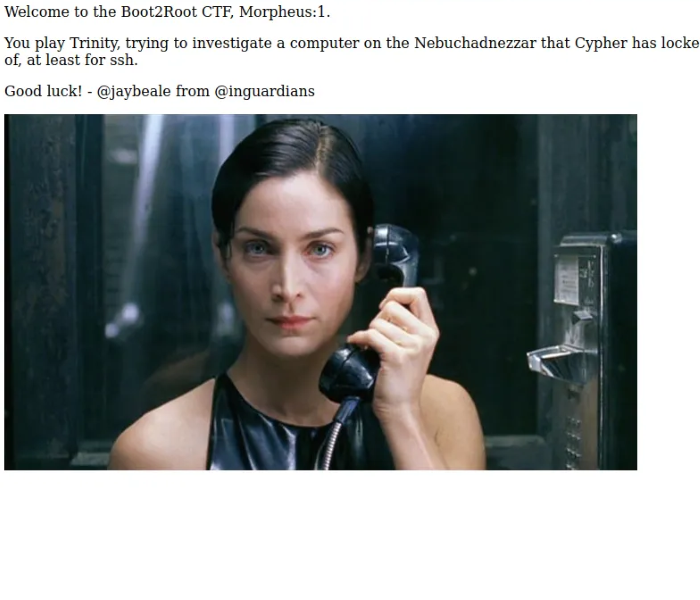 Matrix-Breakout: 2 Morpheus Virtual Machine